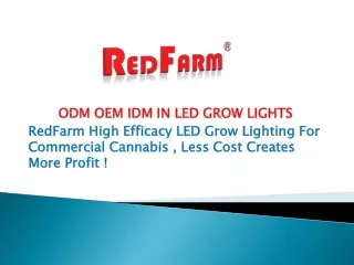 Even Your Plants Need Indoor Grow Lights For Vegetables