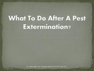 what to do after a pest extermination