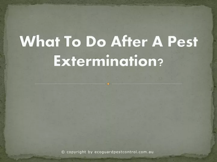 what to do after a pest extermination