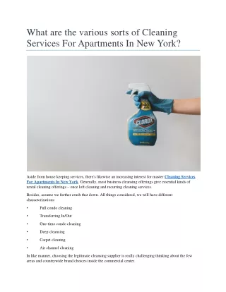 what are the various sorts of cleaning services