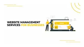 Website Management Services For Businesses