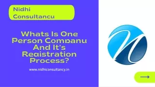 nidhi consultancy