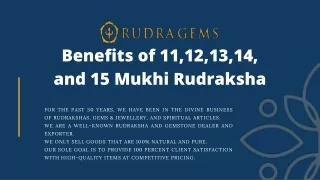 Benefits of 11, 12, 13, 14, and 15 Mukhi Rudraksha