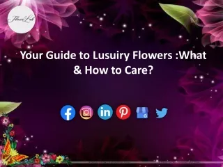 Your Guide to Lusuiry Flowers What & How to care