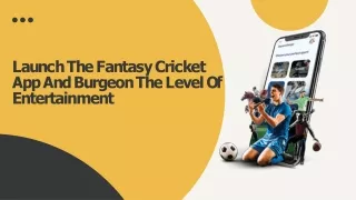 Launch the fantasy cricket app and burgeon the level of entertainmen