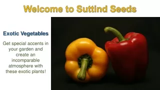 Buy Exotic Vegetable Seeds Online in India