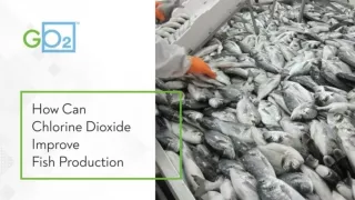 How Can Chlorine Dioxide Improve Fish Production
