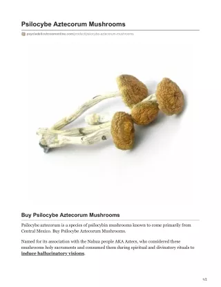 psilocybe aztecorum mushrooms