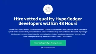 Hire Vetted Hyperledger Developers Within 48 Hours | Optymize