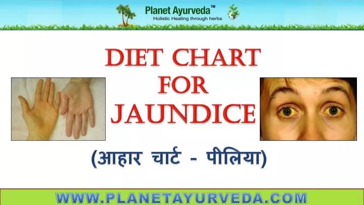 diet chart for jaundice