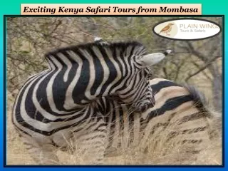 Exciting Kenya Safari Tours from Mombasa