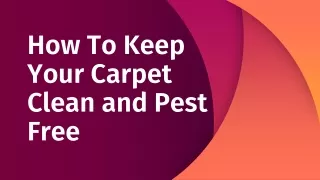 How To Keep Your Carpet Clean and Pest Free