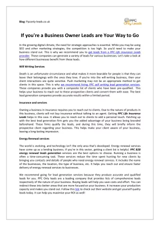 If you're a Business Owner, PPC Leads are Your Way to Go