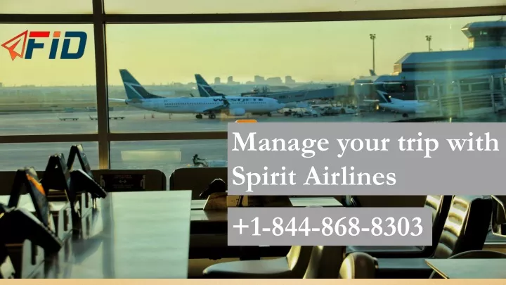 manage your trip with spirit airlines