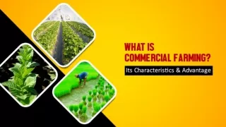 What is Commercial Farming, Its Characteristics & Advantage
