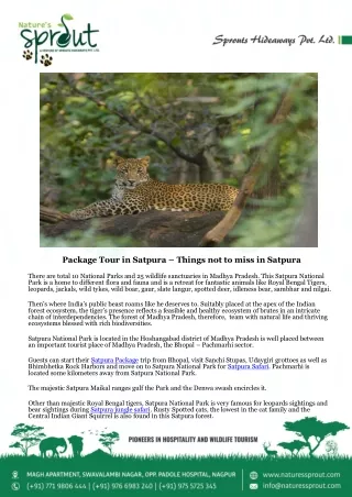 Package Tour in Satpura - Nature's sprout