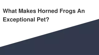 What Makes Horned Frogs An Exceptional Pet?