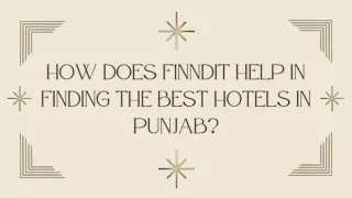 How does Finndit help in finding the best hotels in Punjab