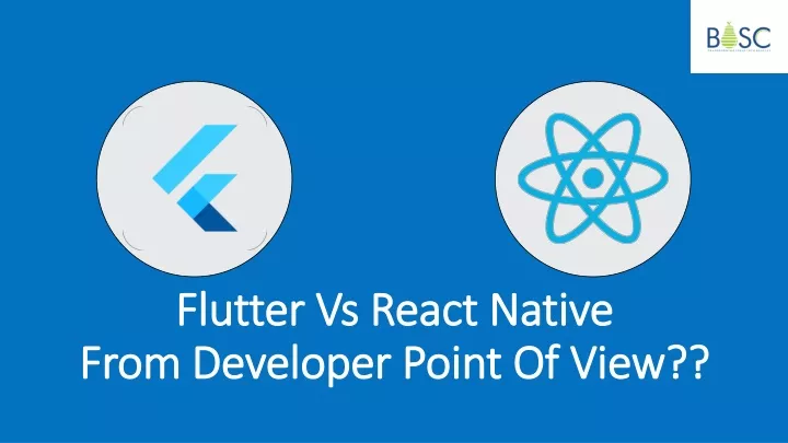 flutter vs react native from developer point of view