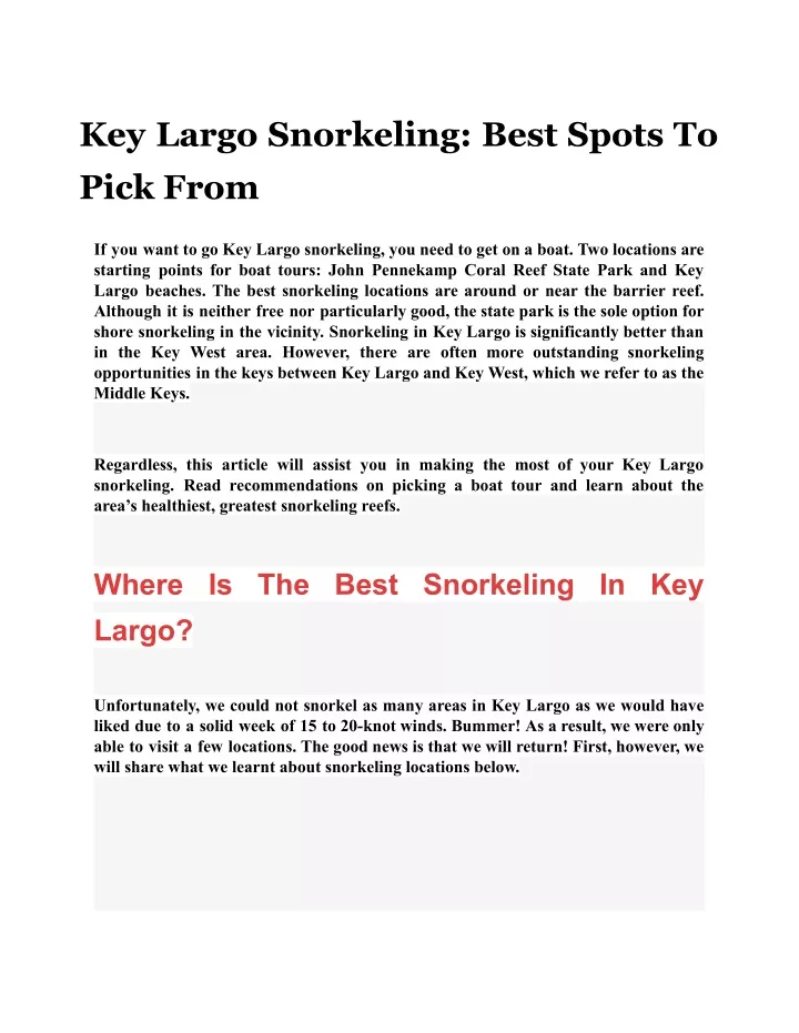 key largo snorkeling best spots to pick from