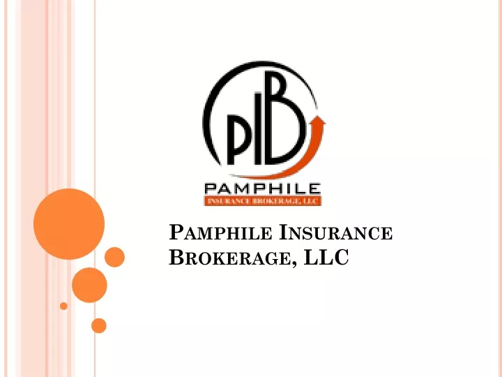 pamphile insurance brokerage llc