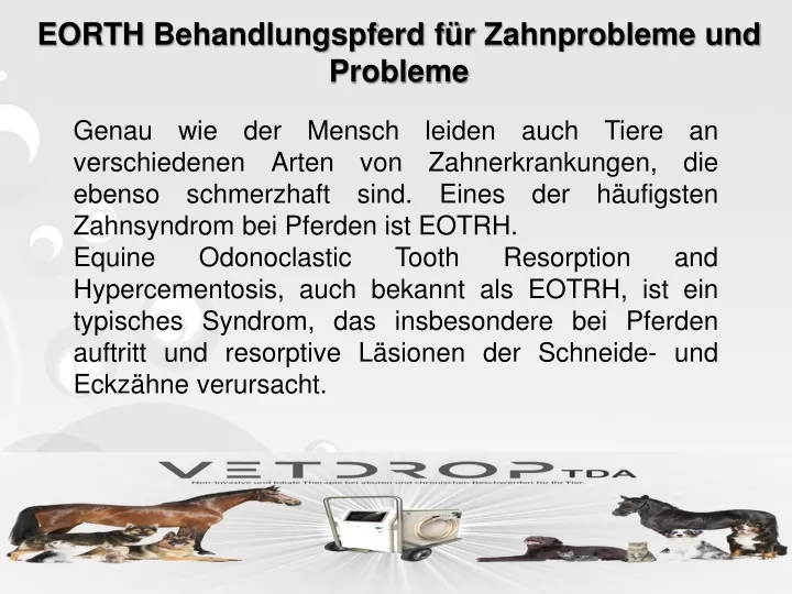 eorth behandlungspferd f r zahnprobleme und probleme