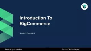 Introduction To BigCommerce A basic Overview