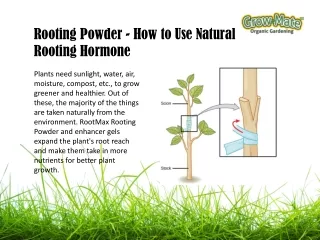 Rooting Powder - How to Use Natural Rooting Hormone | Growmate