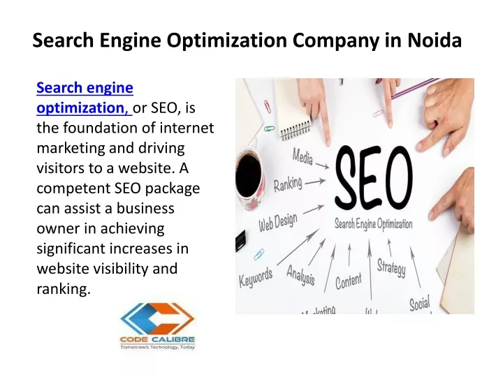 search engine optimization company in noida