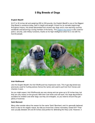 5 big breeds of dogs