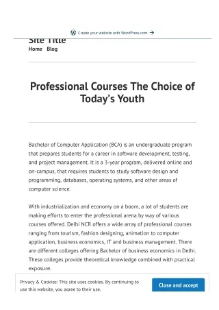 Professional Courses The Choice of Today’s Youth