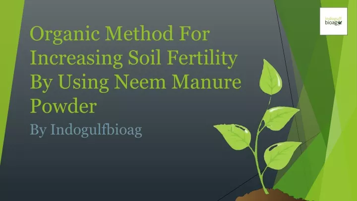 organic method for increasing soil fertility by using neem manure powder