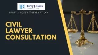 Civil Lawyer Consultation - Harry J. Ross Attorney