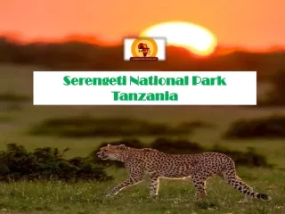 Serengeti National Park Tanzania