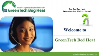 Are You Looking for Affordable Bed Bugs Solution Toronto?