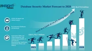 Database Security Market to Garner US$ 16,273.8 million by 2028 at 14.3% CAGR