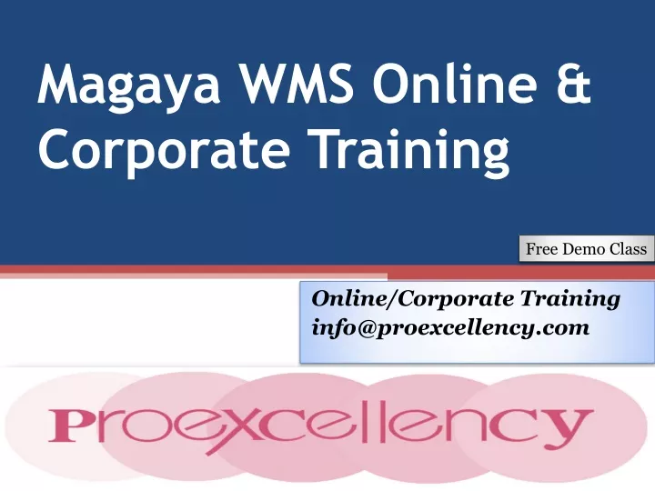 magaya wms online corporate training