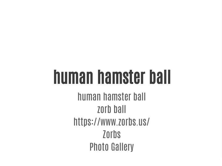human hamster ball human hamster ball zorb ball