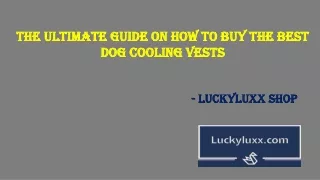 Best Dog Cooling Vests