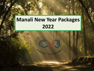 Manali New Year Party 2022 - New Year Packages Near Manali