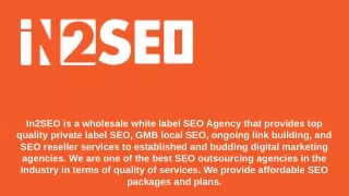in2seo is a wholesale white label seo agency that