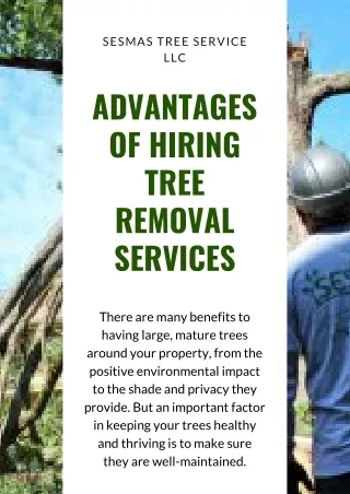 sesmas tree service llc