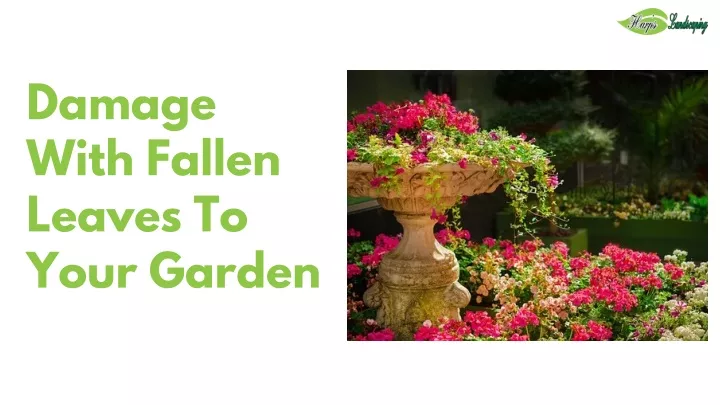 damage with fallen leaves to your garden