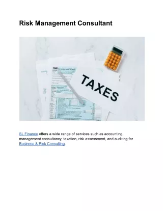 Risk Management Consultant