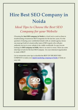 Hire the Professional SEO Services in Noida