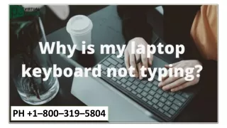 ph 1 800 319 5804