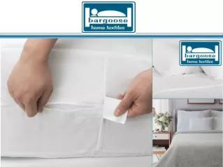 Bed Bug Proof Mattress Protectors