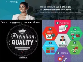 The Best Result Provider of Digital Marketing Services In Delhi - Orrish
