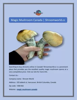Magic Mushroom Canada | Shroomworld.cc