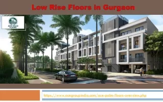 low rise floors in Gurgaon - Ace Palm Floors